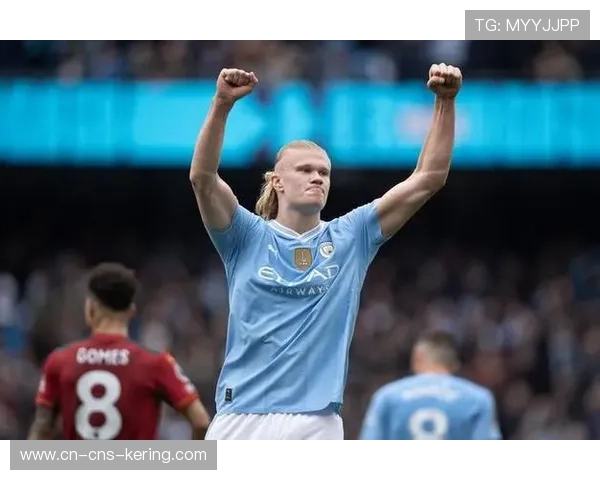 哈兰德本赛季13场打入17球 展现惊人进球效率